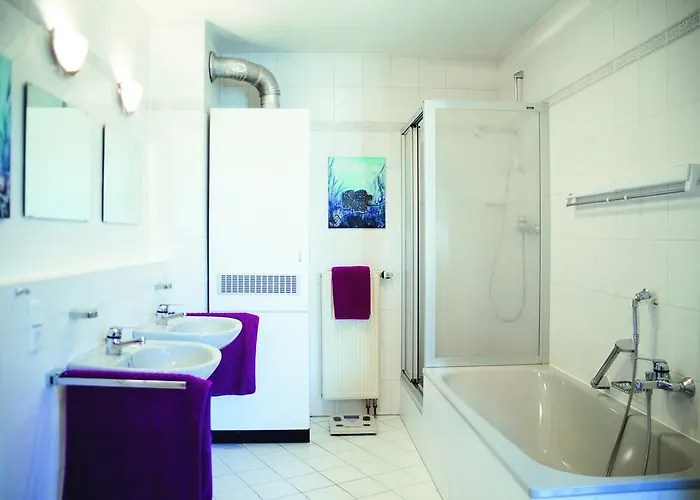 公寓 交响乐公寓 巴登-巴登